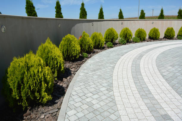 Best Decorative Driveway Pavers  in Selma, NC